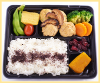 Simmered Tofu Fritters Bento